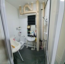 Blk 234 Tampines Street 21 (Tampines), HDB 3 Rooms #378144951